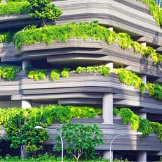 Bringing Nature In: How Plants and Green Spaces Benefit Your Building