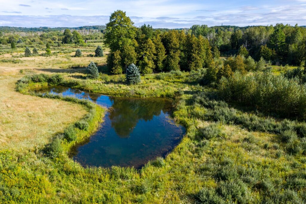 Sunlight filters through a dense forest canopy, casting dappled shadows on a winding path. Towering trees stand tall, their verdant leaves creating a lush, green canopy overhead. In the distance, a tranquil pond reflects the vibrant hues of the surrounding foliage. A peaceful oasis in the heart of nature.